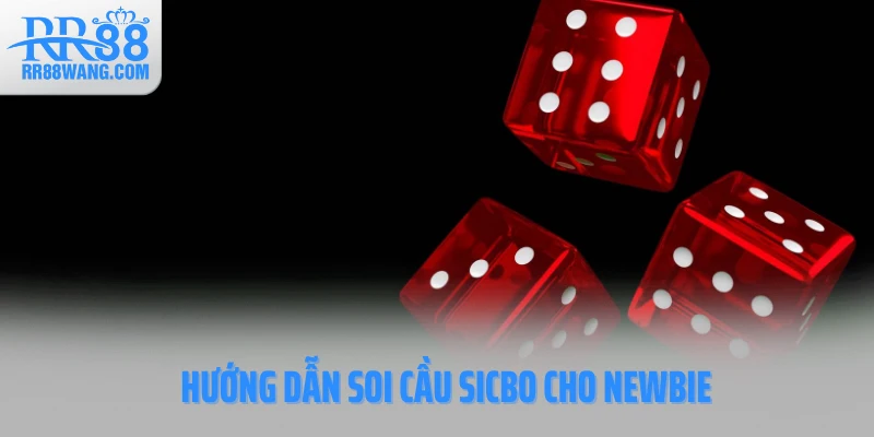 Hướng dẫn soi cầu Sicbo cho newbie